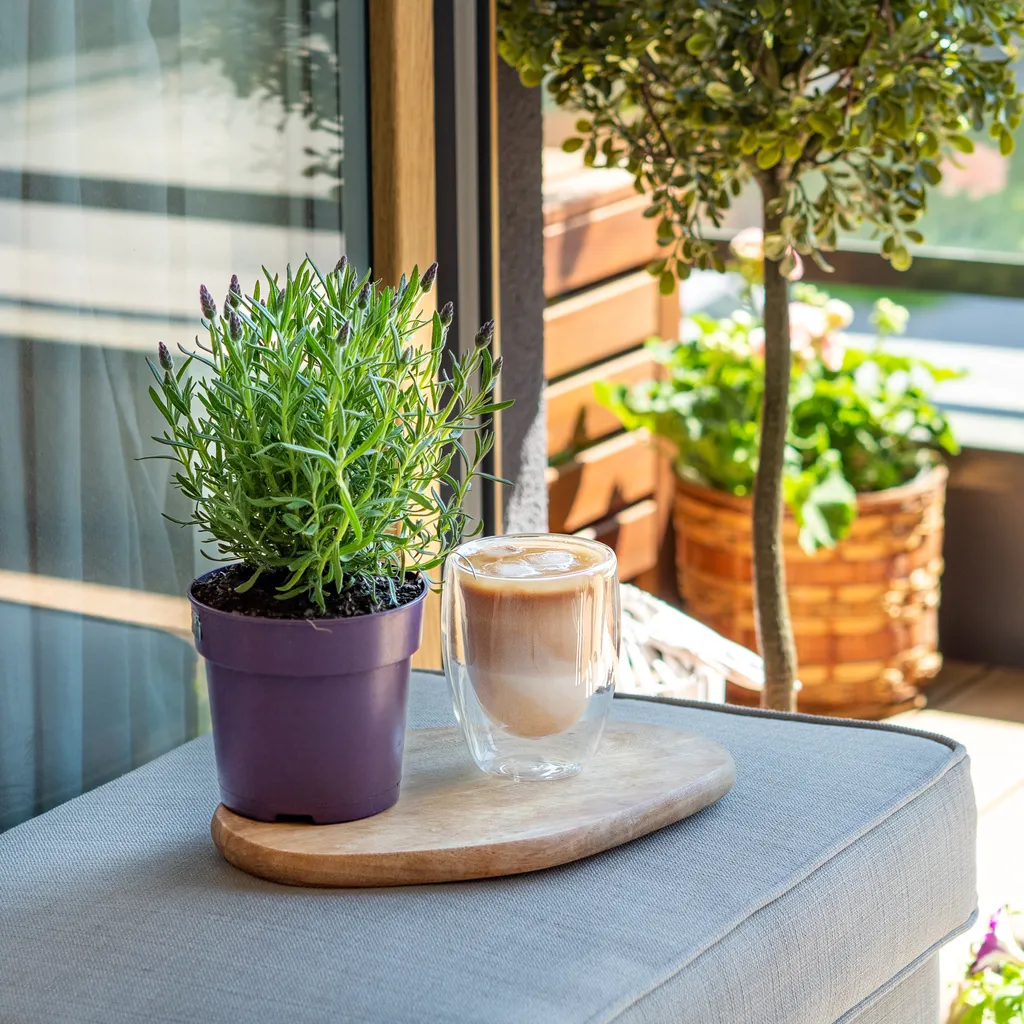 Wessper Latte Macchiato Thermogläser Mit Doppeltem Boden Set 6 X 350 Ml 4 Wessper Latte Macchiato Thermogläser Mit Doppeltem Boden Set 6 X 350 Ml – Bild 2