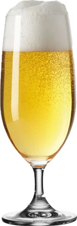 Leonardo DAILY Bierglas 360 Ml 6er Set MOB -Tassenladen 393af5dd7bc5a9e7a17d48f344381608