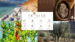 Villeroy & Boch 2 X Wasserkelch Set 4tlg. Opfeera Vorteilsset 2 X Art. Nr. 1137898100 Und Gratis 1 Trinitae Körperpflegeprodukt -Tassenladen 67077e59e1a1032d5c820cf4eae4ab17 1