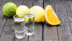 SCHLOSSEREI BAYERWALD Schnapsgläser Set 6 Stück Je 28 Ml - Shotgläser Wodka Schnaps Tequila Grappa - Transparent 7 Cm Höhe -Tassenladen 7dbeb904752908baedd0bccbe57b4e6b