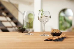 Leonardo GK/2 Gingläser 630ml Gin -Tassenladen aa141246be7a753b8293b6f4a759948e