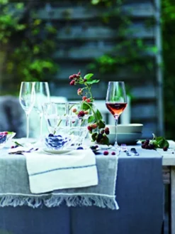 Nachtmann Supreme Burgunder XL Set/4 0092083-0 -Tassenladen c6f0c1ed0d1e21d9ceadfd4f2c0b8886